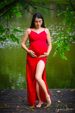 Pregnancy Portraits
