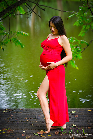 Pregnancy Portraits