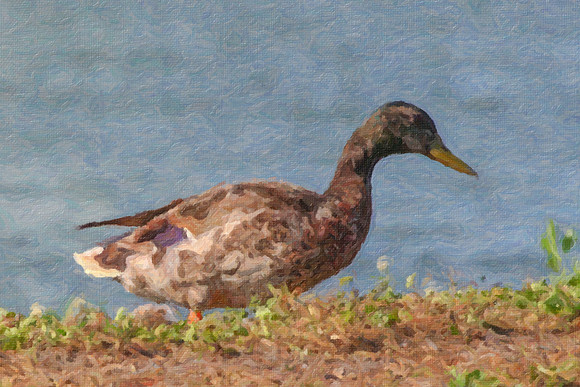 IMG_9129-Painting