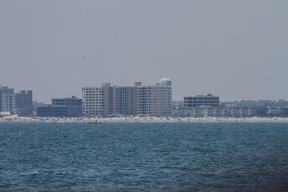 LJI_3716