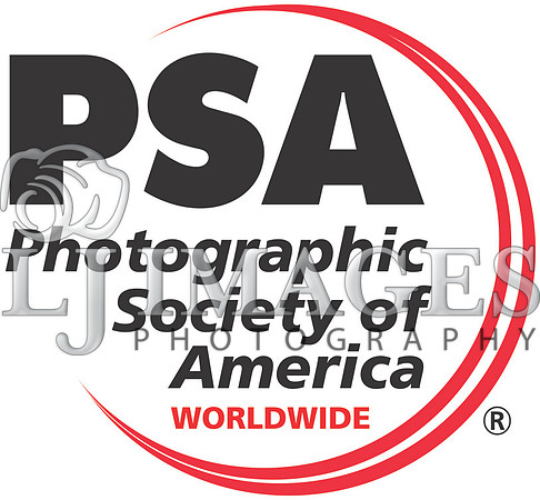 psa_logo_with_registration_m