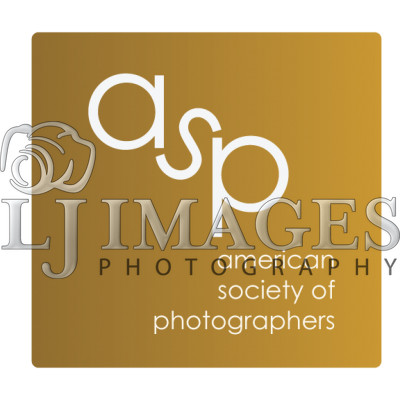 Artboard_6_400_400_c1_c