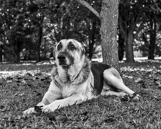 bw_B75H1931