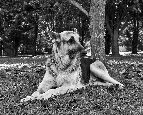 bw_B75H1932