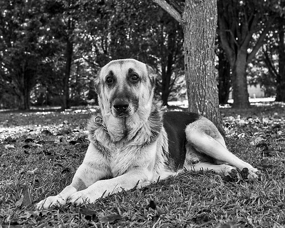 bw_B75H1933