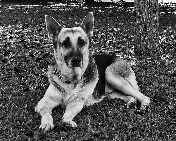 bw_B75H1950