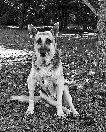 bw_B75H1956