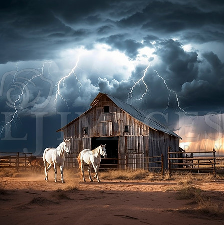 Barns and Horses
