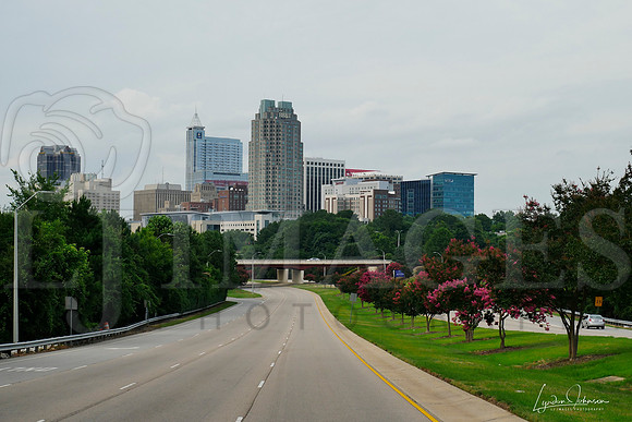 _2010096