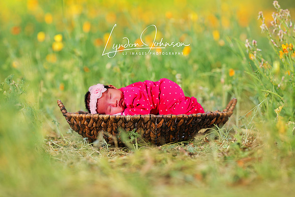 Portrait Photography
