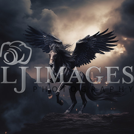 destinyunlimited_black_horse_with_wings_rearing_up_on_back_legs_63f3c8e6-64a7-4b9e-8b06-be09daac7878-2