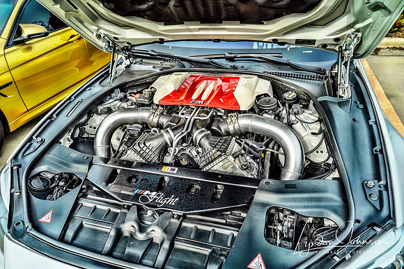 _DSC6524