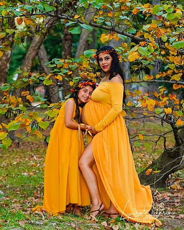 Pregnancy Portraits