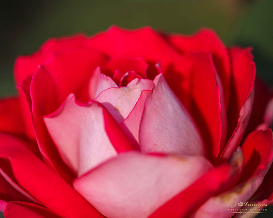 IMG_6013