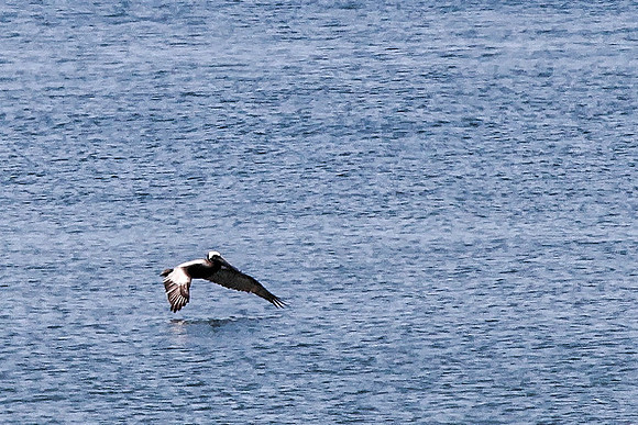 IMG_8441_DxO2