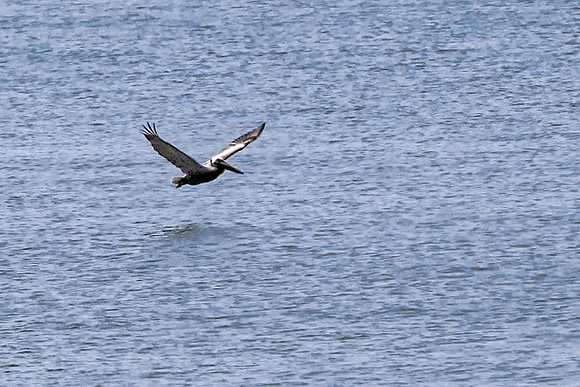 IMG_8442_DxO2