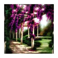 westeria passage