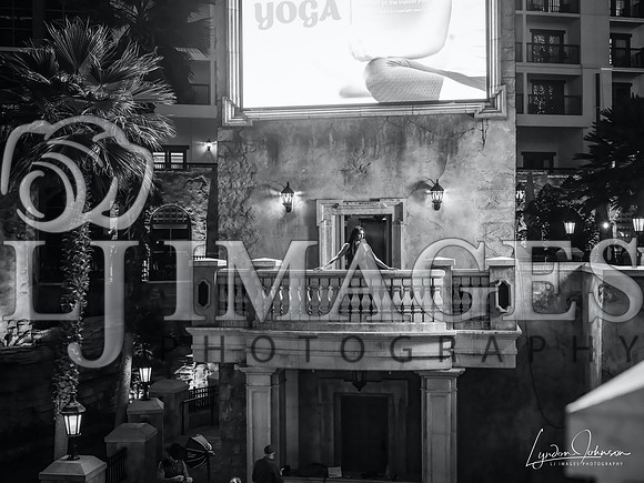 Vexxed_BW00048